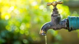 La Organización Mundial de la Salud recomienda valores que asombran sobre el consumo de agua en las personas.