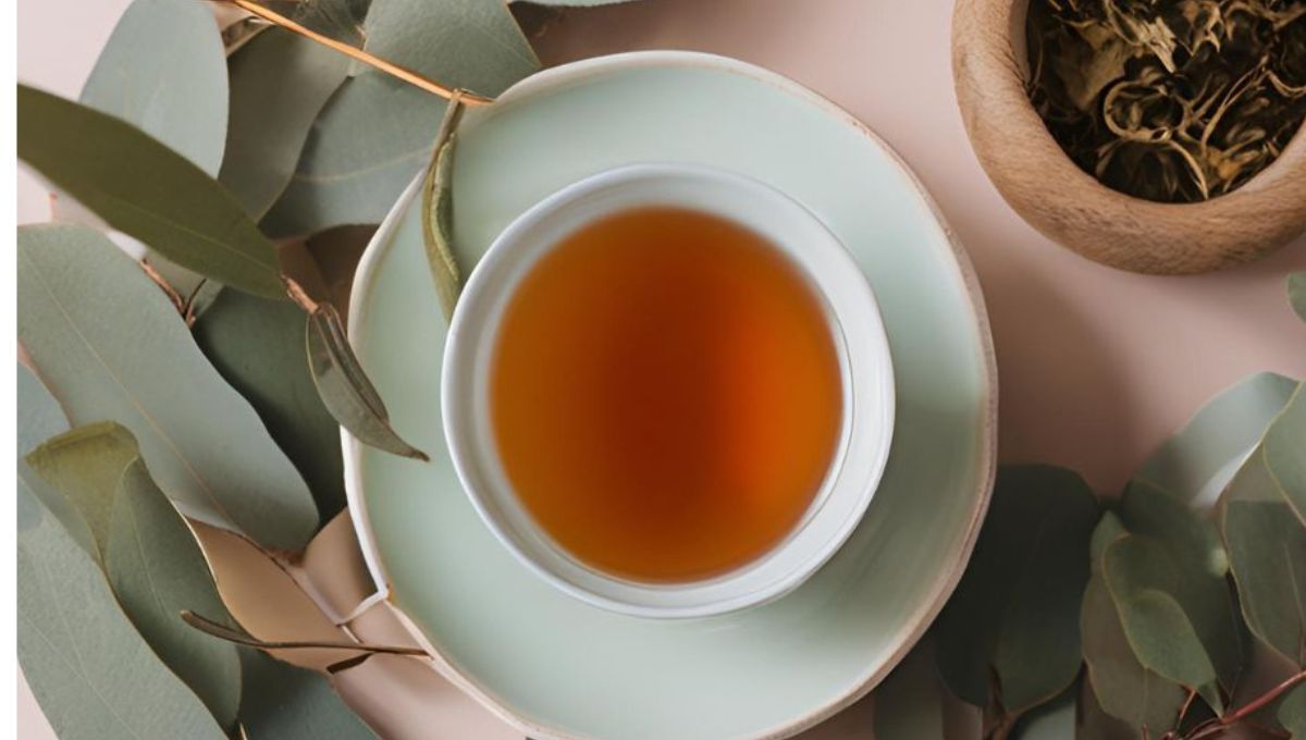 Por qué tomar té de eucalipto