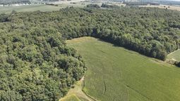 limpiaron un bosque con buenas intenciones pero recibieron una multa de 10.000 dolares