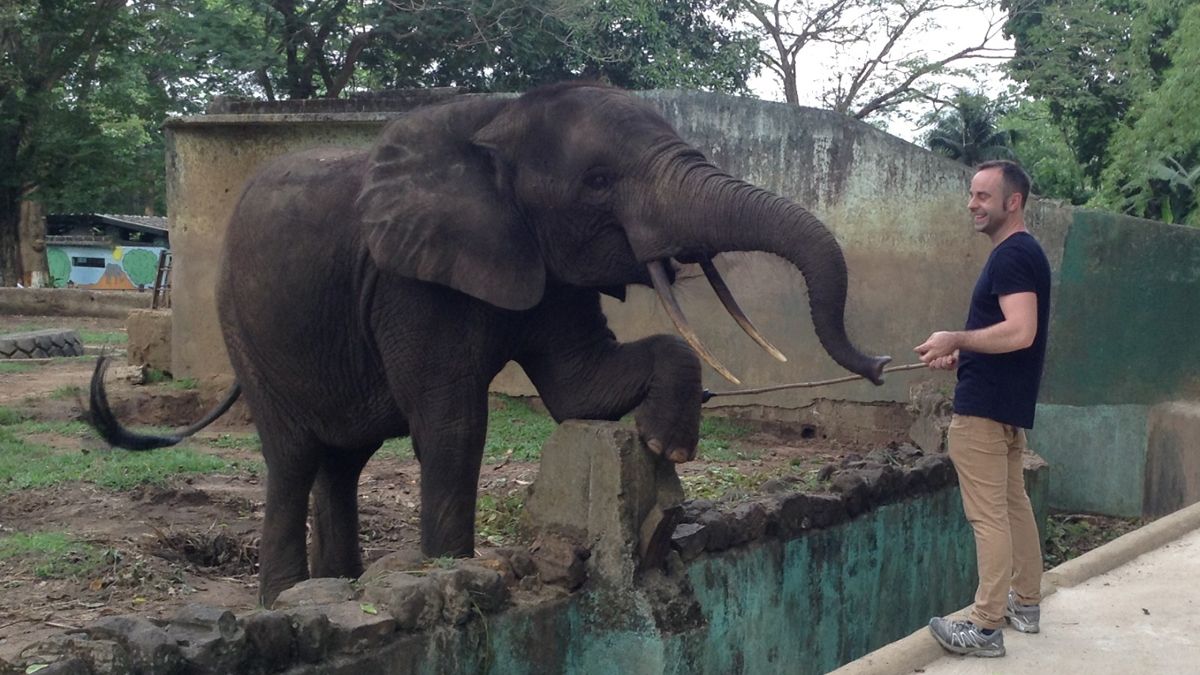 La esposa de Ingo también dedica su vida a los animales, especialmente a los chimpancés. Aunque se conocieron en un zoo entre elefantes.