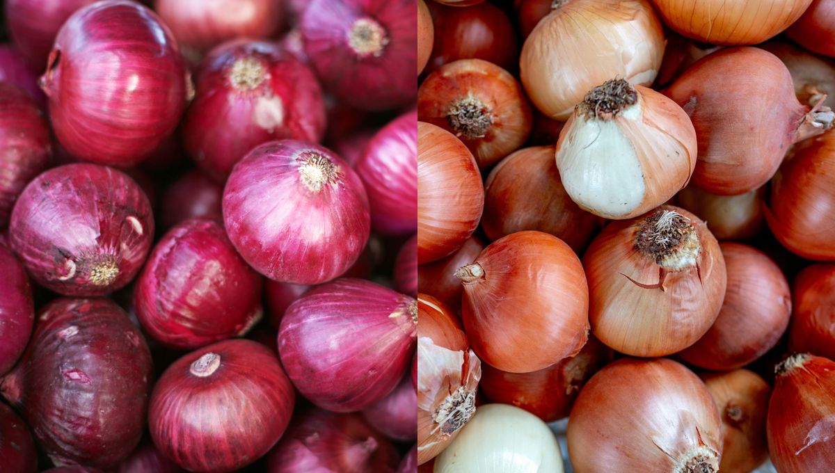 Para qué se usa cada variedad de cebolla y en qué se diferencian.&nbsp;