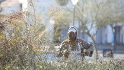 Pronóstico del tiempo hoy en Mendoza: Zonda