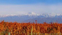 Septiembre en Luján será el mes del vino