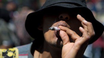 Uruguay: el 54% del cannabis consumido se vende legalmente