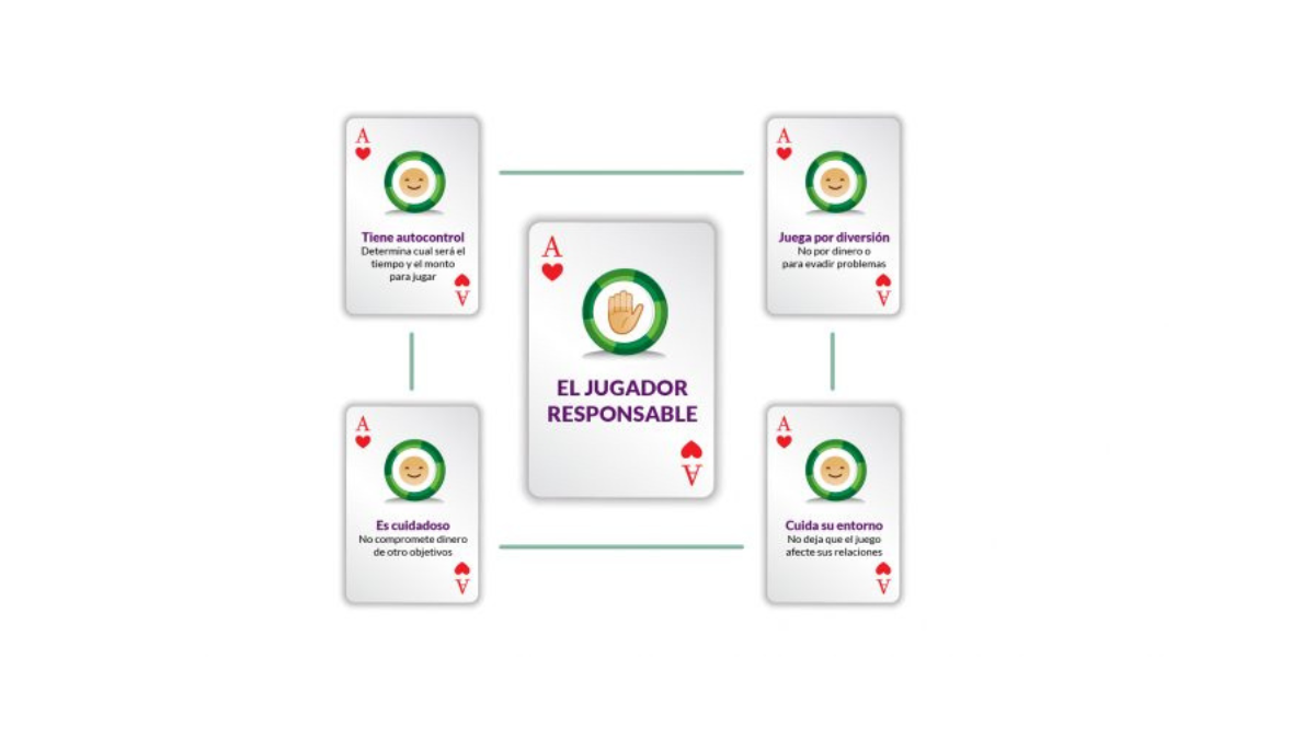 Las características del jugador responsable. Las características del jugador responsable.