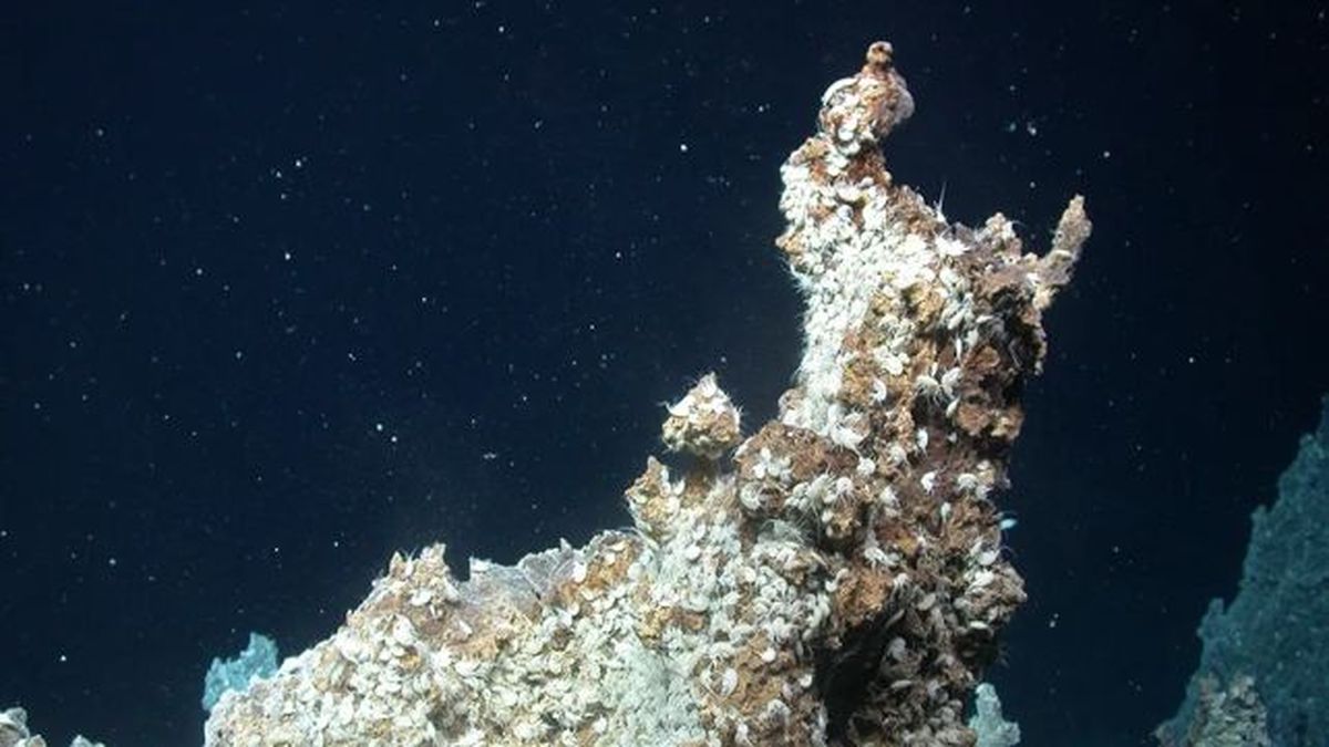 El descubrimiento tomó por sorpresa a la ciencia. El descubrimiento tomó por sorpresa a la ciencia.