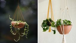 5 plantas colgantes que crecen de forma frondosa y que aportan luz y frescura a cada rincón