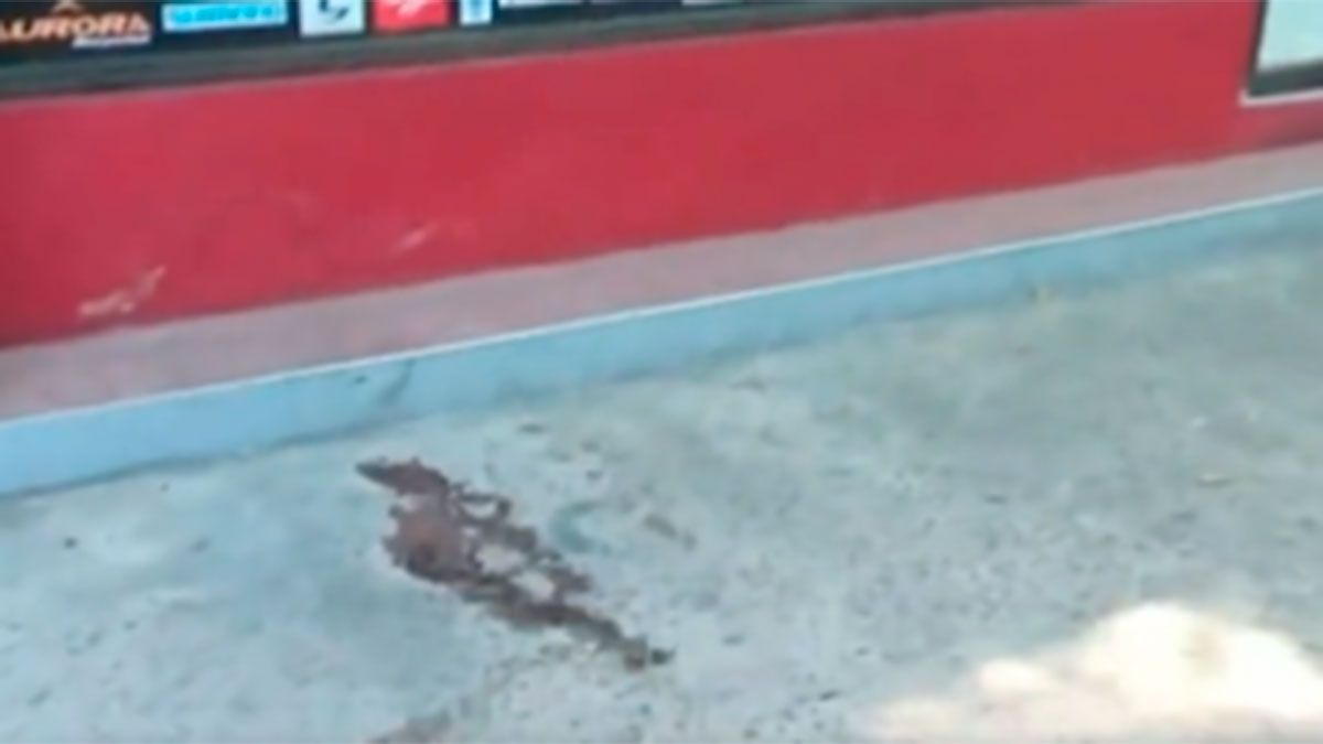 El hecho ocurrió pasadas las 2.15 de este lunes en la calle Aráoz al 1450, entre Gorriti y Honduras, en Palermo, a la vuelta de una comisaría.