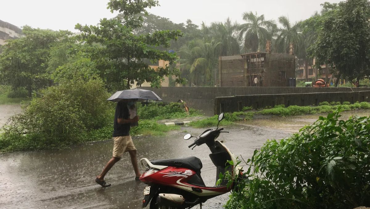 Se trata de un territorio donde la lluvia puede caer durante días enteros sin pausa, especialmente entre junio y septiembre, cuando el monzón transforma el paisaje en un océano verde y vibrante. Se trata de un territorio donde la lluvia puede caer durante días enteros sin pausa, especialmente entre junio y septiembre, cuando el monzón transforma el paisaje en un océano verde y vibrante.