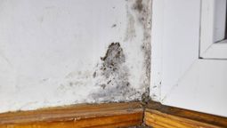 Decile adiós a las manchas de humedad de las paredes. Decile adiós a las manchas de humedad de las paredes.