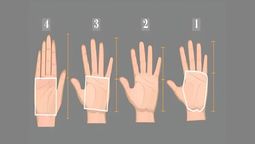 Un test para descubrir lo que tus manos dicen de ti
