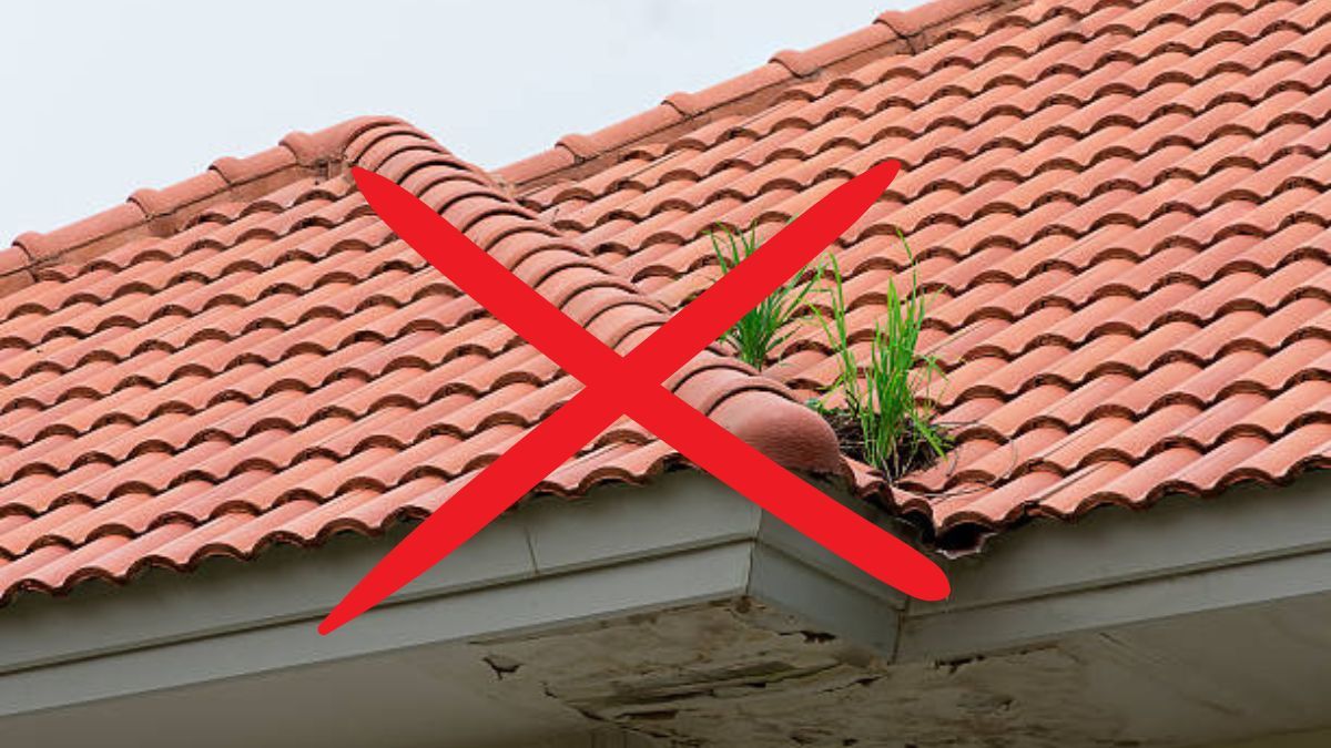 Adiós a las clásicas tejas del techo: la tendencia europea que promete imponerse como una opción sostenible