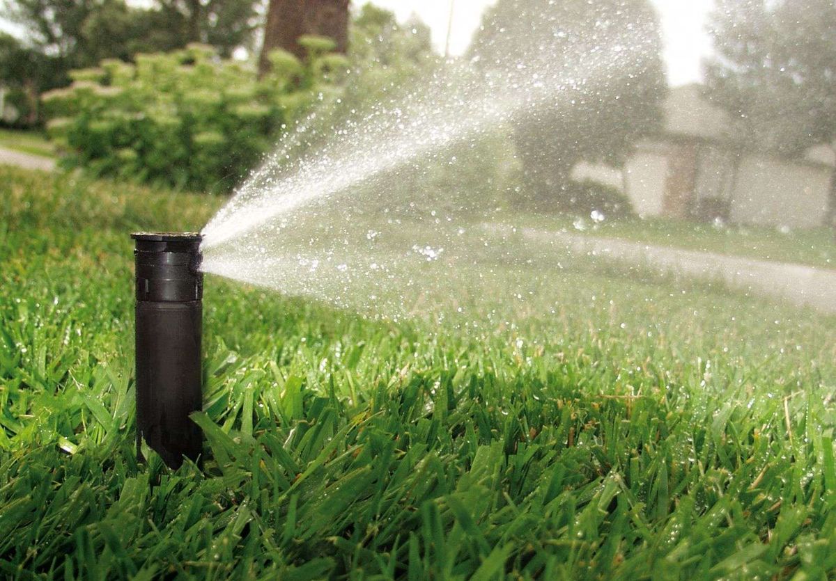 Cuál es la mejor época del año para instalar el sistema de riego en tu jardín, según expertos Cuál es la mejor época del año para instalar el sistema de riego en tu jardín, según expertos