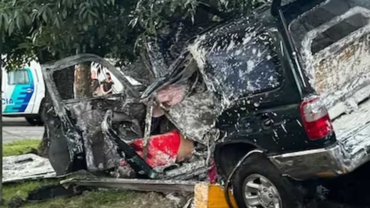 Tres delincuentes murieron al estrellarse contra un árbol tras robar una camioneta
