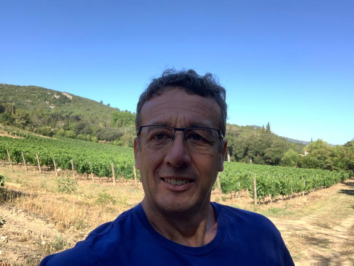 Gabriel Ruetsch en viñedos franceses. Gabriel Ruetsch en viñedos franceses.