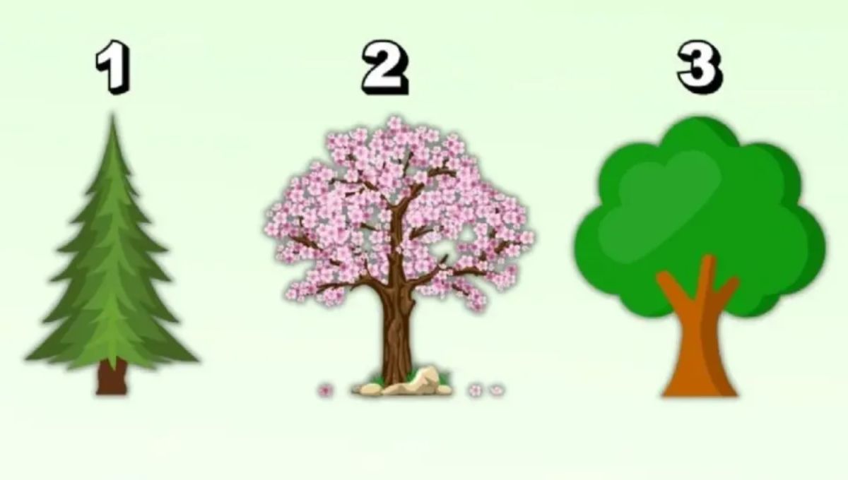 Test de personalidad: elige un árbol y descubre el rasgo qué más resalta de tu personalidad
