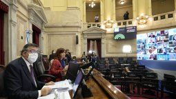 En vivo: el Senado sesiona en forma virtual en busca de aprobar los DNU de Alberto