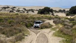 Entró con una 4x4 a una zona protegida de América del Sur y puso en peligro a las aves que anidan en la arena