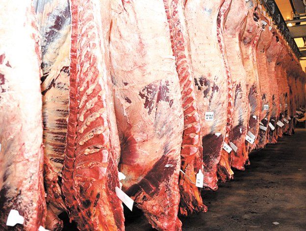 Gobierno estableció nuevas exigencias para la cadena de distribución de carnes en medias reses, que entrarán en vigencia a partir del 1 de enero de 2022.