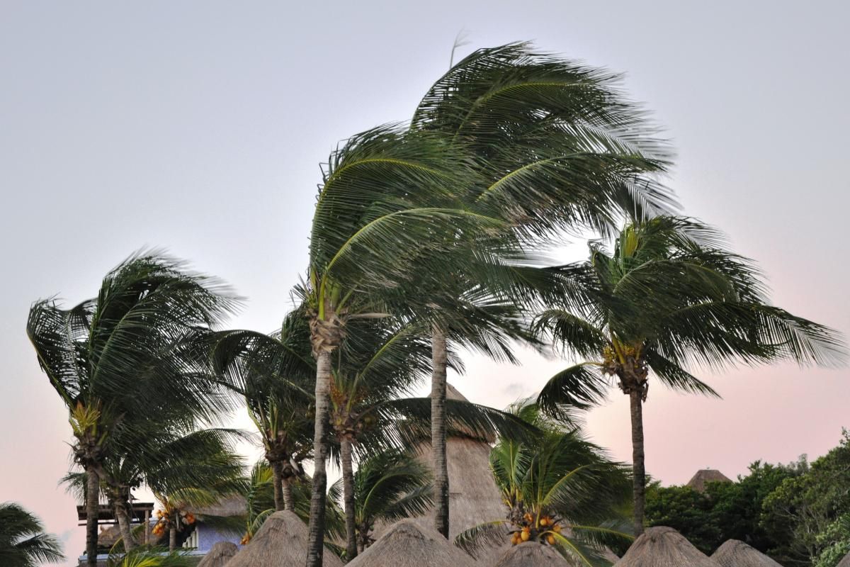 Ten cuidado con los fuertes vientos en la costa