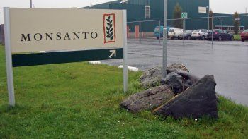 Monsanto perdió un juicio por 78,5 millones de dólares