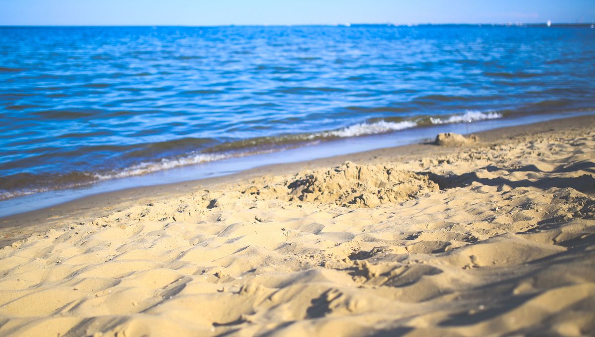 Los ambientes naturales y amplios generan una sensación de calma y tranquilidad. Los ambientes naturales y amplios generan una sensación de calma y tranquilidad. 