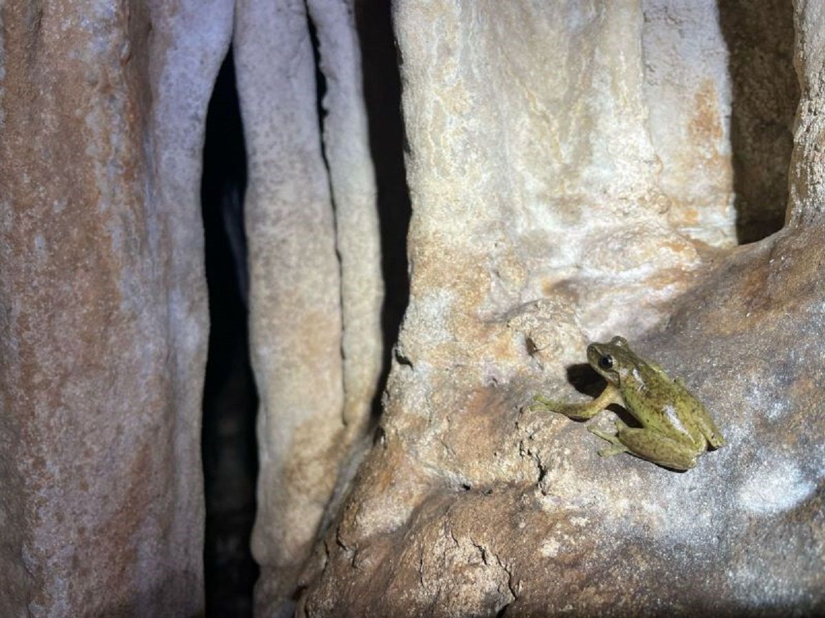 Esta cueva de México guardaba algunos secretos.