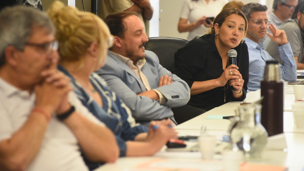 La senadora Adriana Cano, jefa del bloque del PJ, participó del plenario de comisiones por proyectos de minería. La senadora Adriana Cano, jefa del bloque del PJ, participó del plenario de comisiones por proyectos de minería.