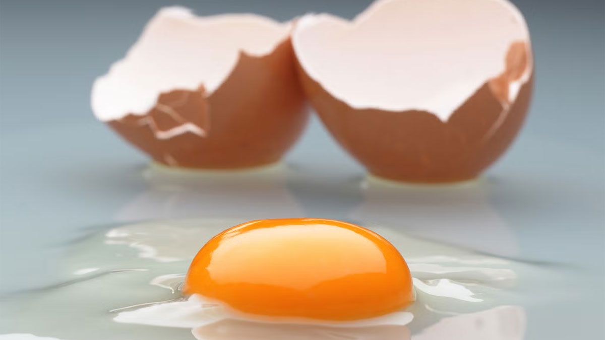 El huevo es un alimento totalmente recomendado para la dieta saludable de las personas.