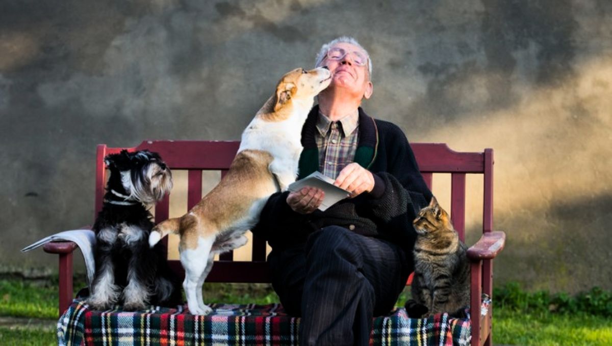 Los adultos mayores deben adoptar una mascota por un beneficio en especial&nbsp;