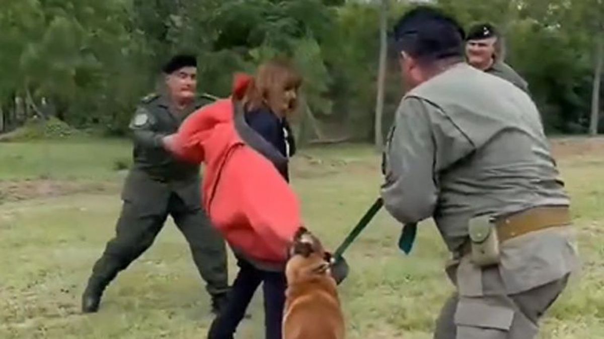 El perro de seguridad atacó sin piedad a la ministra Patricia Bullrich.