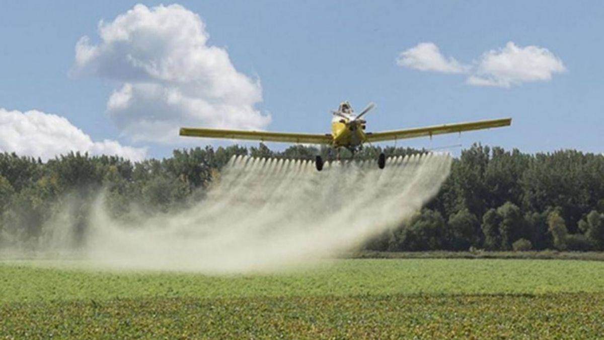 (Foto: La Política Ambiental) (Foto: La Política Ambiental)