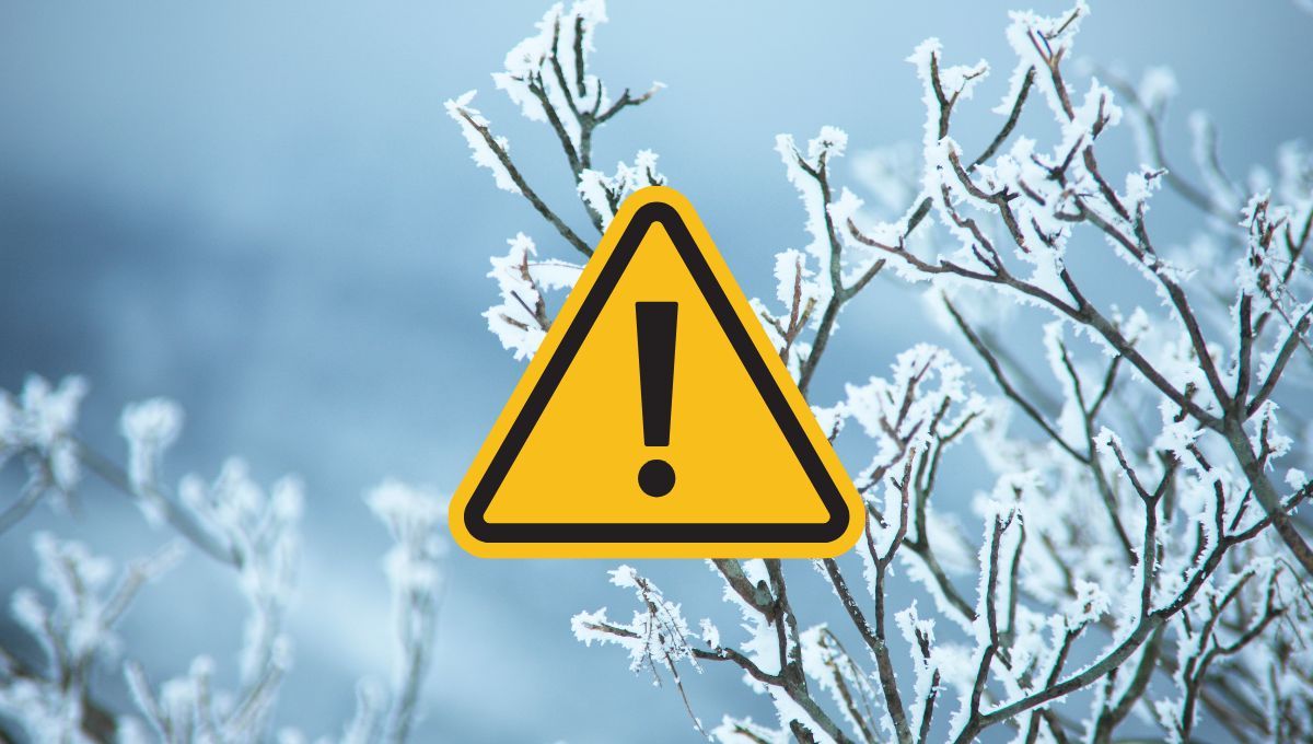 El SMN alertó por fuertes nevadas