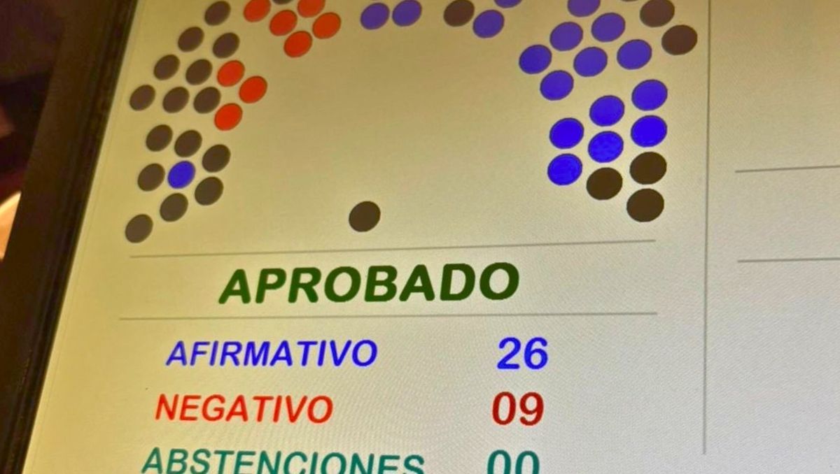 Votación a favor de la suspensión de las PASO en Mendoza. Votación a favor de la suspensión de las PASO en Mendoza.