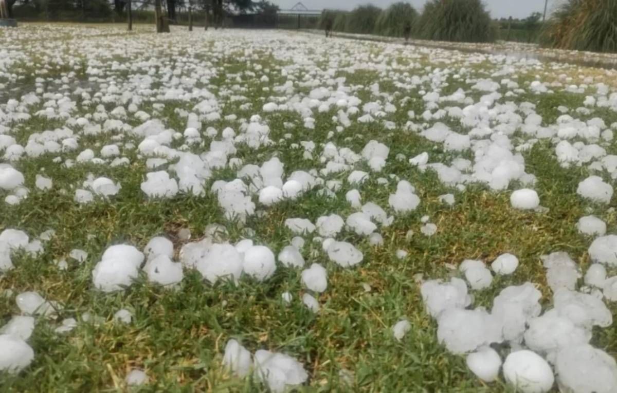 El granizo puso en debate la necesidad de la lucha activa, además de facilitar la colocación de malla en la zona Este.