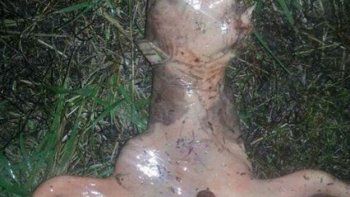Apareció una extraña criatura en un patio