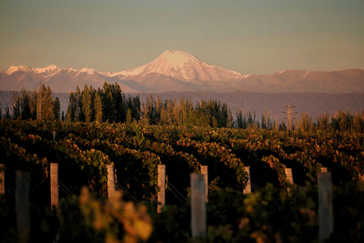 Mendoza es una de las plazas turísticas para hacer turismo relacionado con la vitivinicultura pero en las últimas semanas los empresarios no saben cuánto, cómo ni de qué manera cobrarles a los clientes. Mendoza es una de las plazas turísticas para hacer turismo relacionado con la vitivinicultura pero en las últimas semanas los empresarios no saben cuánto, cómo ni de qué manera cobrarles a los clientes.