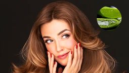Beneficios del aloe vera en el pelo. Imagen: Redacción Diario Uno