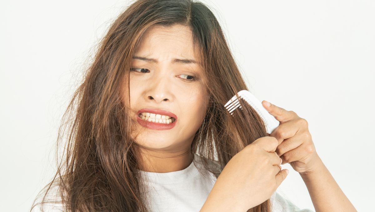 2 mascarillas con ingredientes naturales con las cuales le dirás adiós al pelo seco y crocante