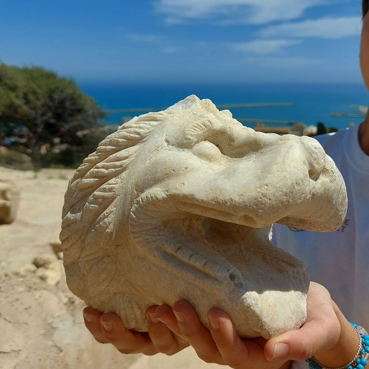 Una de las piezas halladas, que llama la atención por su estado de conservación. Una de las piezas halladas, que llama la atención por su estado de conservación.