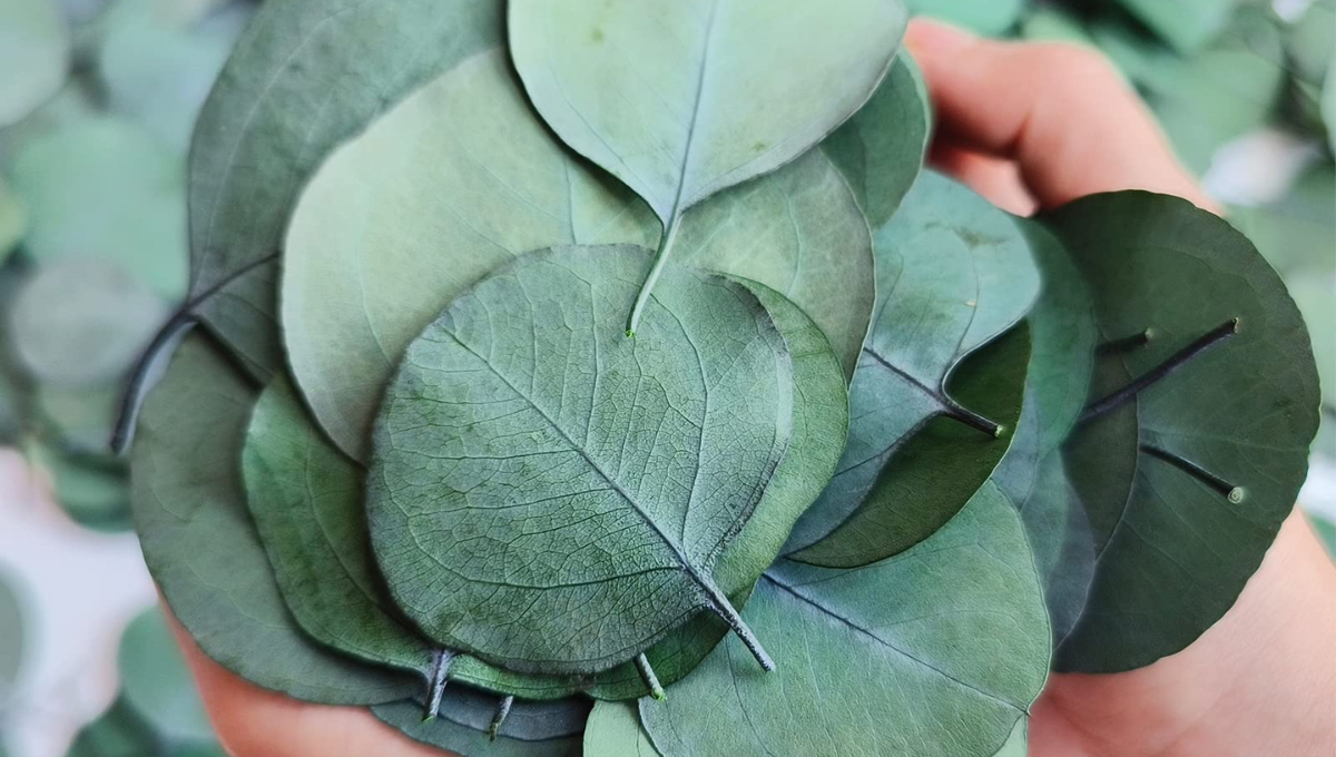 Alivia el estrés con este infalible ritual de Feng Shui