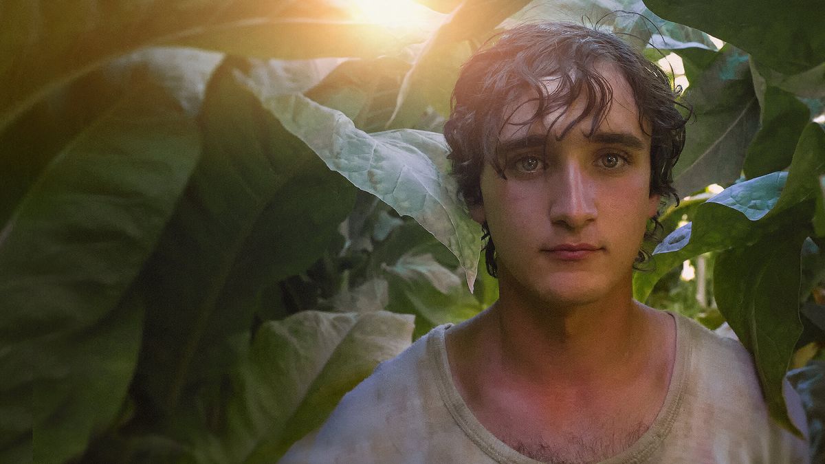Adriano Tardiolo. Es magistral su actuación en la película italiana