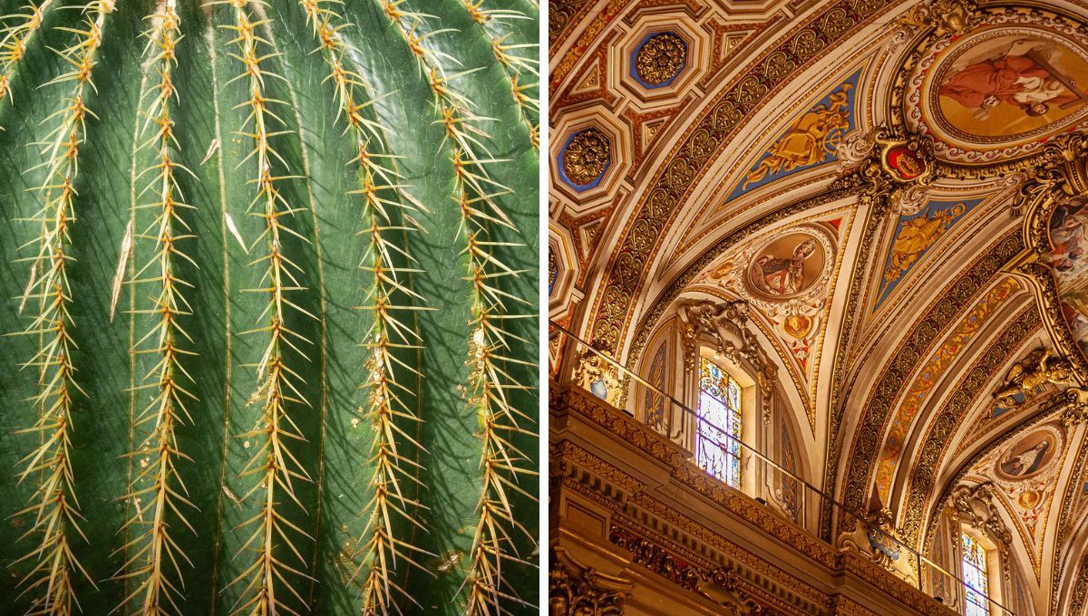 ¿Cuál es la catedral argentina hecha con jugo de cáctus?