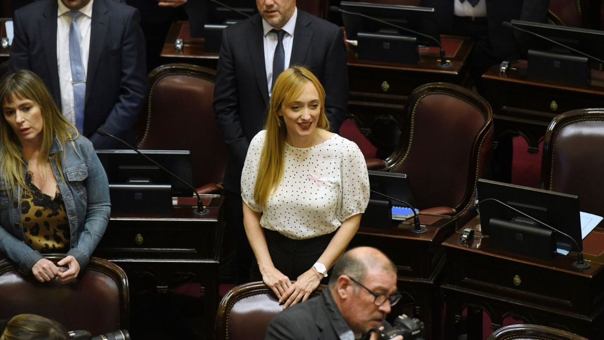 Anabel Fernández Sagasti (PJ) durante la sesión en la que se aprobó la prórroga de las asignaciones específicas para industrias e instituciones culturales.