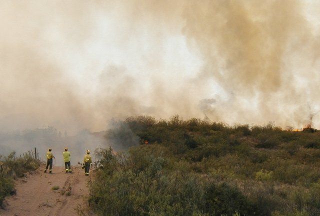Brigadistas están de protesta y sólo apagarán incendios de 8 a 14