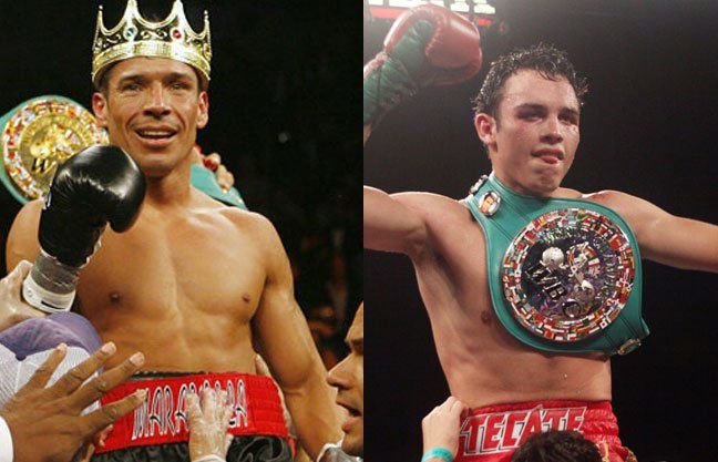En septiembre sería el duelo entre Maravilla y Chávez Jr.