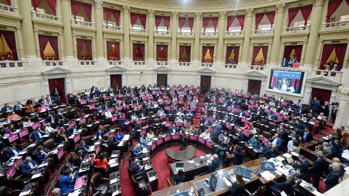 En la Cámara de Diputados se aprobó la suspensión de los desalojos en barrios populares.
