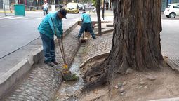 Objetos, animales, documentación. Una acequia esconde lo impensado. Fotos: Gentileza Municipalidad de Ciudad.