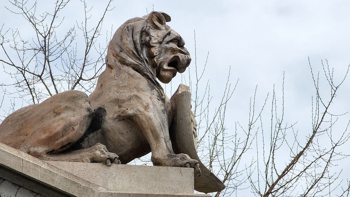 Uno de los típicos leones que engalanan la casa. Uno de los típicos leones que engalanan la casa.