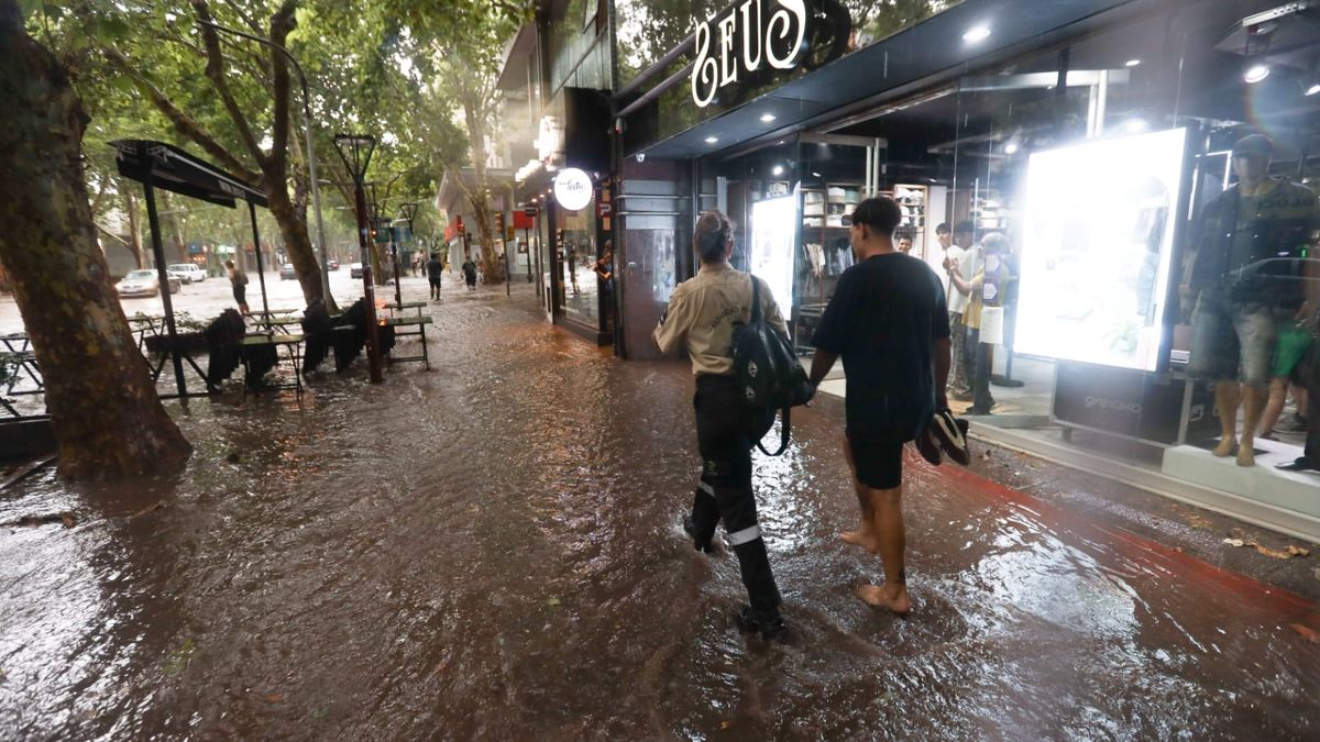 Tras las tormentas, Defensa Civil reportó más de 130 casas inundadas y un total de casi 500 intervenciones